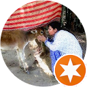 Amalia Neves Mengoni profile picture